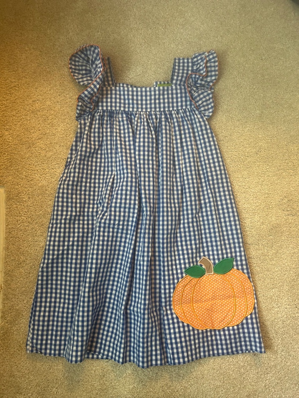 Classic Whimsy pumpkin dress 5T